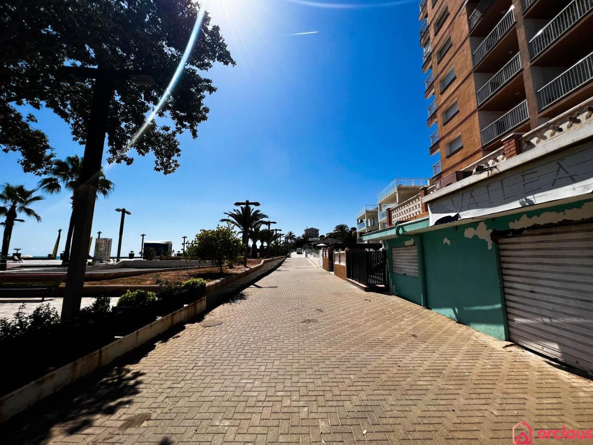 Brisa Marina Mediterranea Oropesa del Mar Exteriör bild